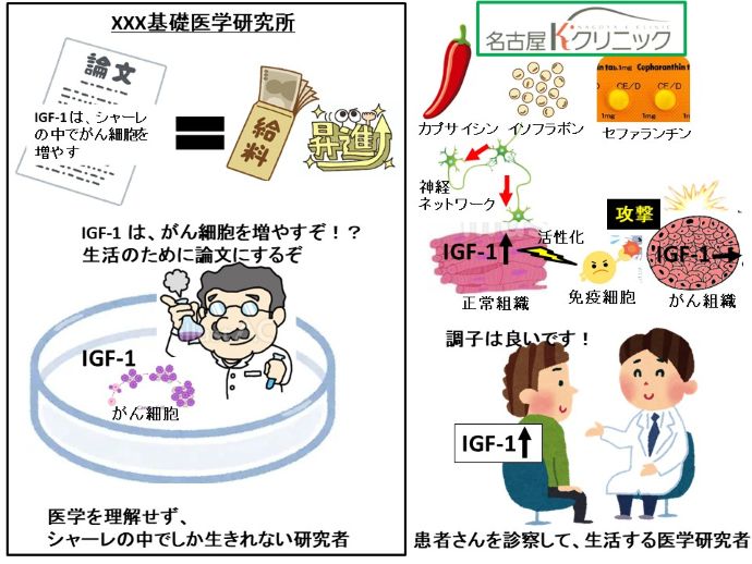円形脱毛症　病院